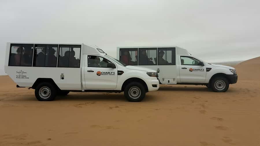 From Swakopmund: Living Dunes Experience - Why the Empty Namib Is Full of Life