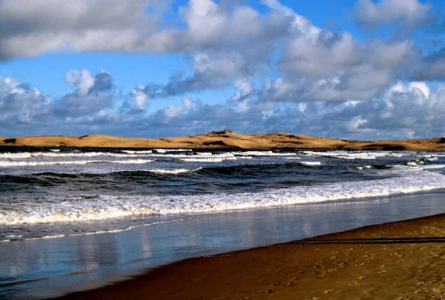 From Walvis Bay: Sandwich Harbour World Heritage Site - From Walvis Bay Flamingos to the Open Atlantic