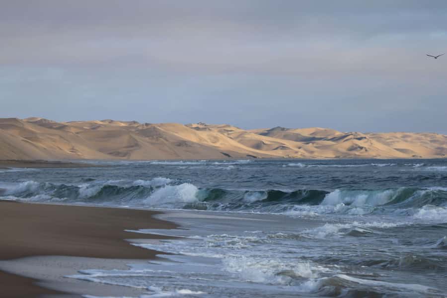 From Walvis Bay: Sandwich Harbour World Heritage Site - The 4x4 Ride Turns Sand Into the Main Event