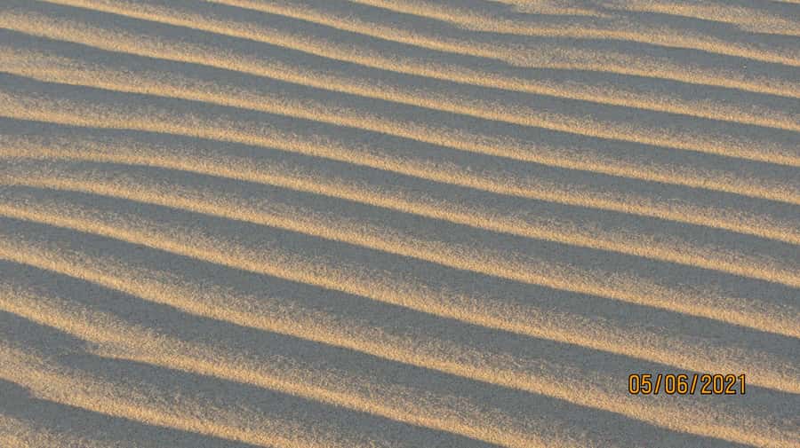 From Walvis Bay: Sandwich Harbour World Heritage Site - Booking Details and Smart Packing