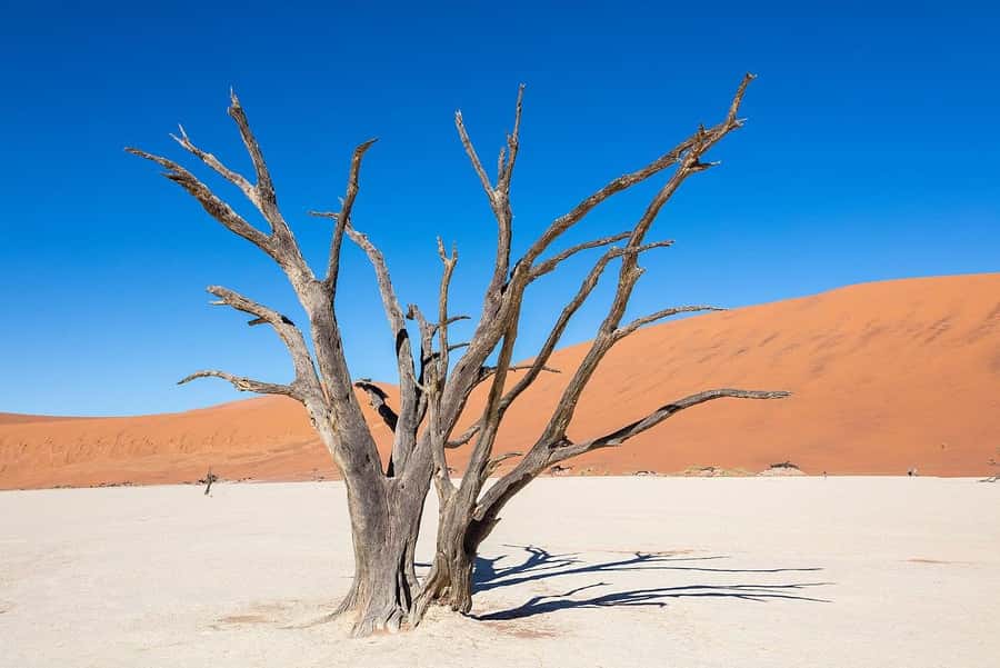From Windhoek: Budget Sossusvlei Guided 2-Day Tour - Why Sossusvlei works well as a two-day trip