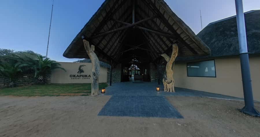 From Windhoek: Okapuka Safari Lodge Day Trip - Key points to know before you book