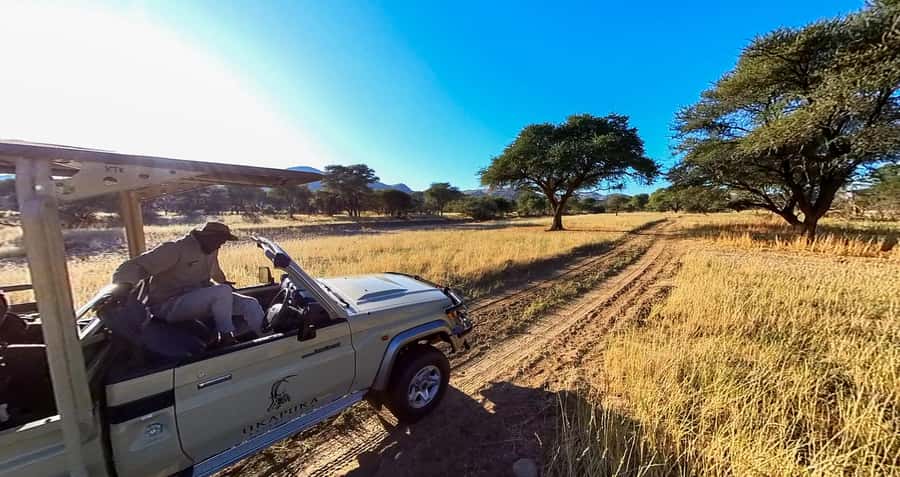 From Windhoek: Okapuka Safari Lodge Day Trip - Green lawns, camel thorn trees, and a mountain backdrop