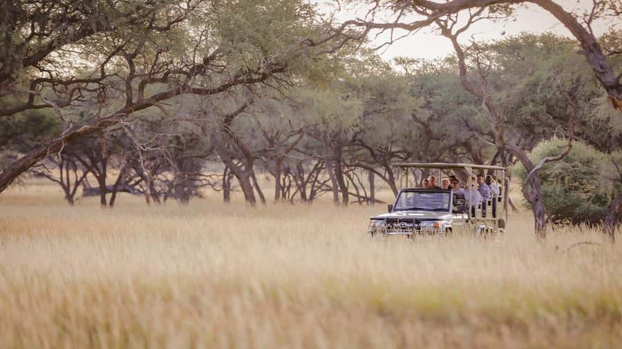 From Windhoek: Okapuka Safari Lodge Day Trip - What the game drive is really like