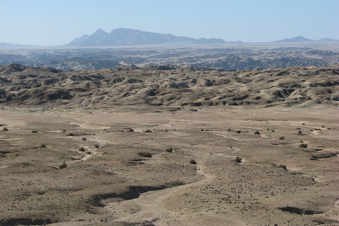 Full-Day Tour in Namib Desert from Swakopmund, Namibia - A picnic lunch in the desert