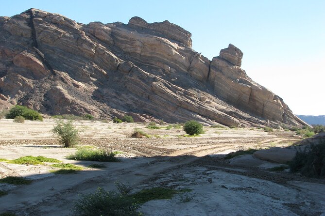 Full-Day Tour in Namib Desert from Swakopmund, Namibia - What the $125.31 price means
