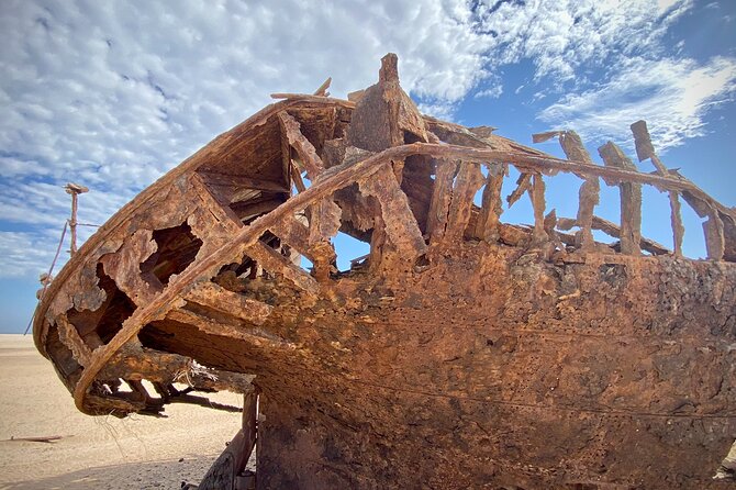 Full Day Tour Shipwreck Sandwich Harbour Adventure - Who Will Enjoy This Best