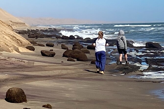 Full Day Tour Shipwreck Sandwich Harbour Adventure - A Good Choice for a Remote Coastal Day