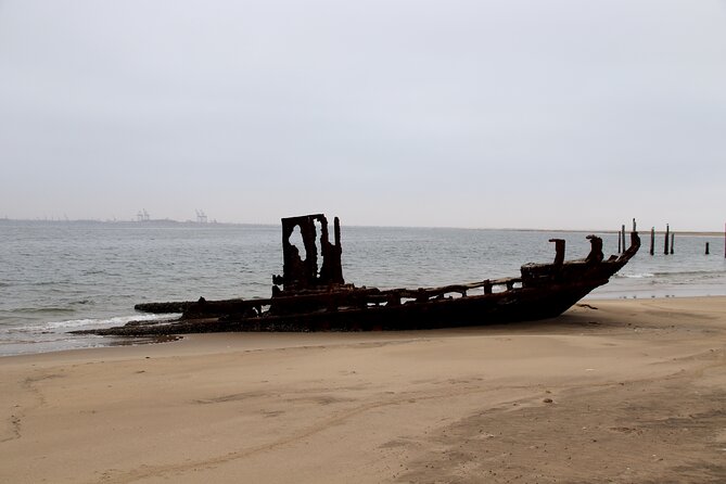 Half Day Original Seal Kayak Adventure, Pelican Point, Walvis Bay - Why Pelican Point is worth your morning