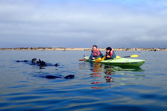 Half Day Original Seal Kayak Adventure, Pelican Point, Walvis Bay - The 40-kilometer ride to Pelican Point