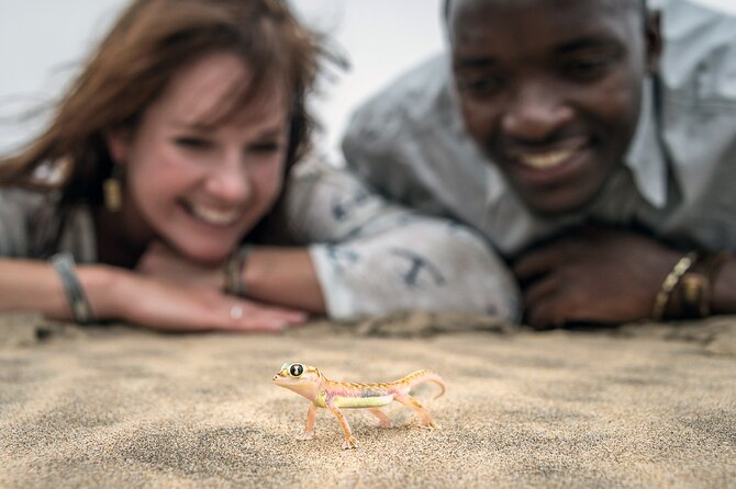 Half-Day Sandwich Harbour Tour from Walvis Bay with Lunch - Sandwich Harbour wetlands and old human traces