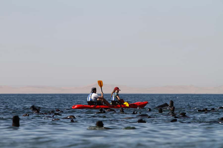 Kayak Dune Day - Two very different Namibian worlds in one day