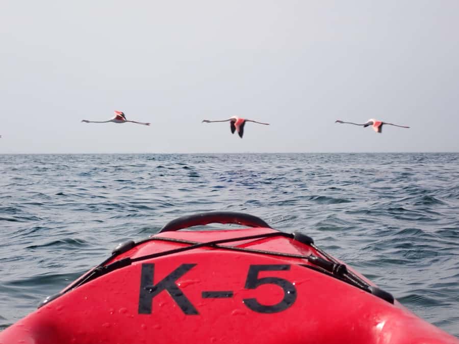 Kayak Dune Day - The catamaran crossing to Pelican Point