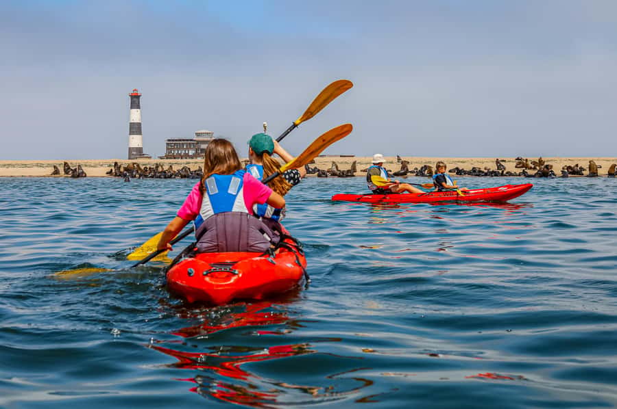 Kayak Dune Day - What the $389 price really covers