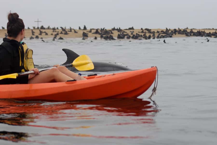 Kayaking and Sandwich Harbour Combo Tour - From Walvis Bay Lagoon to Pelican Point