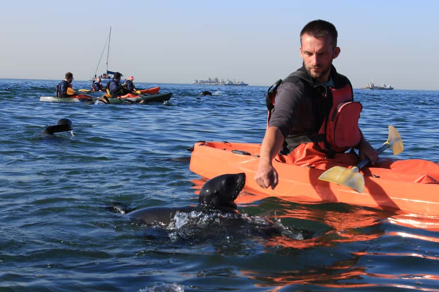 Kayaking and Sandwich Harbour Combo Tour - A Useful Break Between the Two Adventures