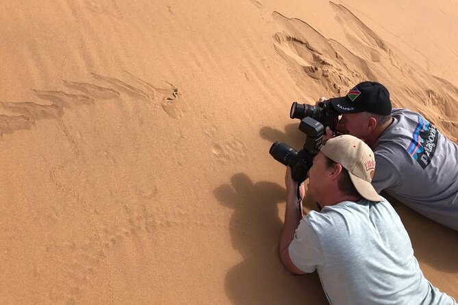 Living Desert Eco Dune Tour - Chameleons, snakes, beetles, and desert clues