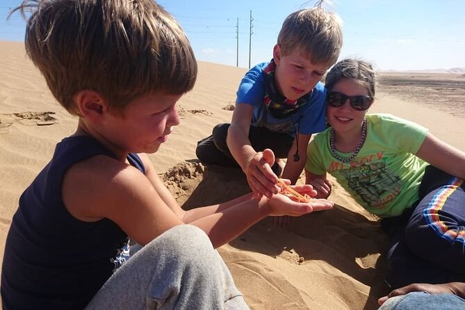 LIVING DESERT TOUR (Little 5 tour) - Flamingos and the Walvis Bay Wetlands