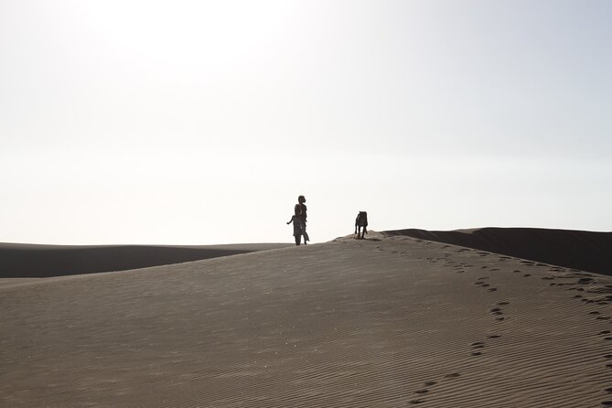 LIVING DESERT TOUR (Little 5 tour) - Who Will Enjoy This Tour Most?