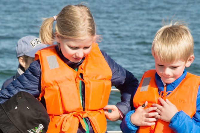 Marine Dolphin Seal Cruise - Dolphins, whales, sunfish, and the luck of the sea