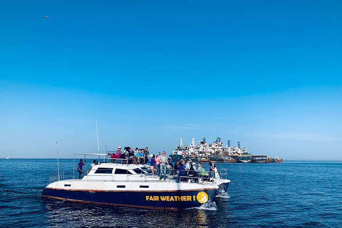 Marine Dolphin Seal Cruise - What the $74.99 price really covers