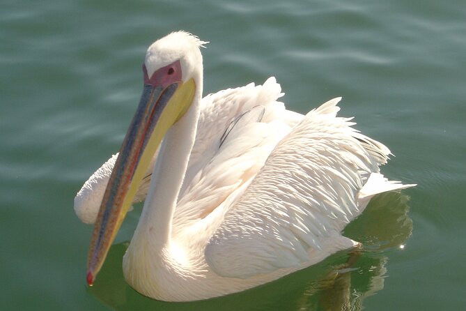 Marine Dune Day: Catamaran Cruise and Sandwich Harbor Dune Drive - Leaving the waterfront for the pink salt lakes