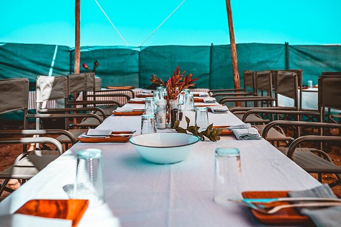 Mola Mola Day with Beach Braai Lunch - A 2.5-hour cruise through Walvis Bay