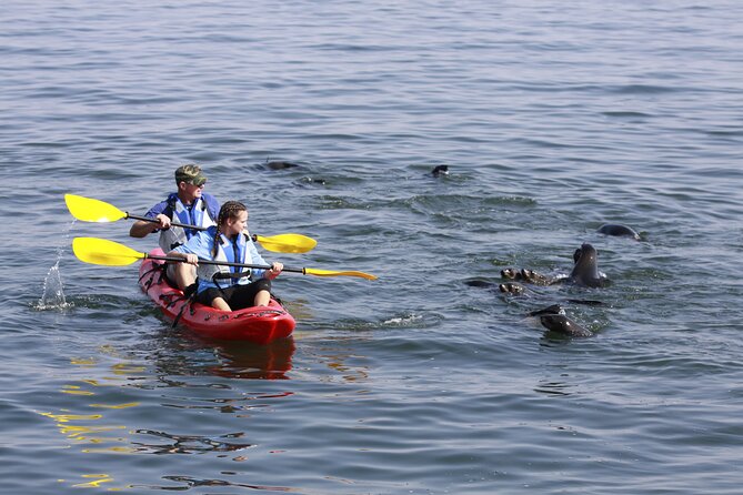 Mola Mola Kayaking Experience with a Licensed Guide - The 30-minute catamaran ride to Pelican Point