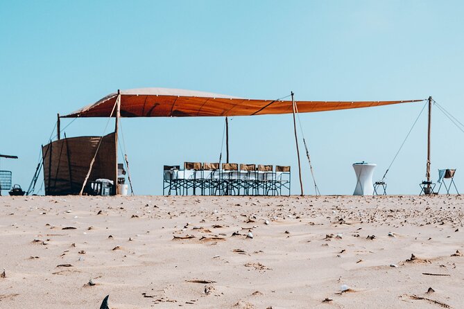 Mola Mola Marine Dolphin Cruise & Beach Braai on Pelican Point - How the $181.14 Price Adds Up