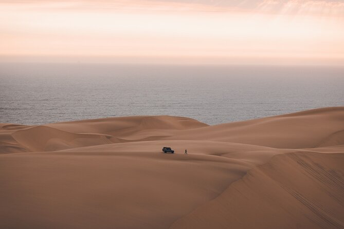 Mola Mola Marine Dune Experience - A full day from Walvis Bay water to desert sand