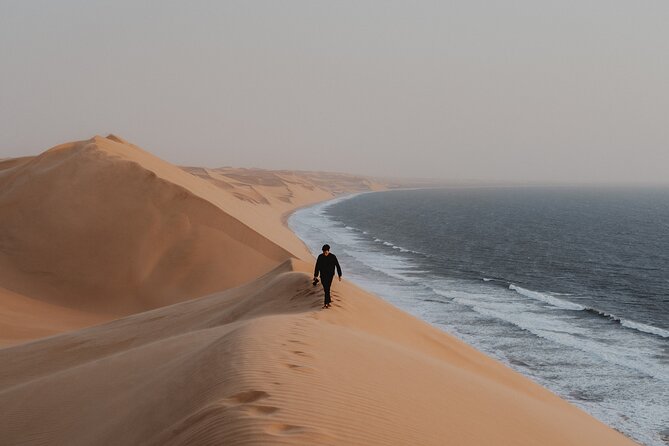 Mola Mola Marine Dune Experience - Sandwich Harbour and the 4WD dune run