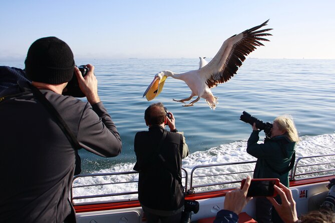 Mola Mola Marine Dune Experience - Why the $256.39 price may be fair