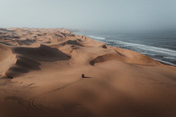 Mola Mola Marine Dune Experience - Practical comfort, weather, and group size