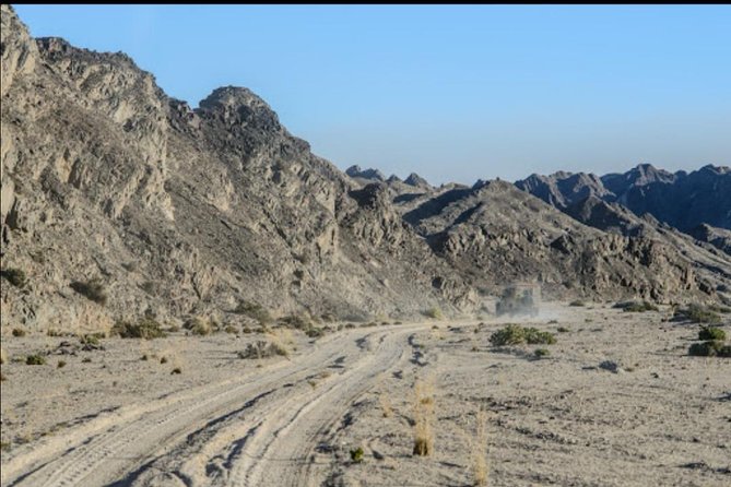 Moonlandscape & Welwitschia Drive - From flamingos to desert rock in five hours