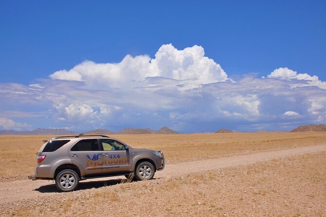 Namib Desert Landscape Tour - Key points to know before you book