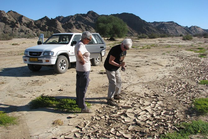 NAMIB DESERT TOURS, Full-Day and Half-Day Tours from Swakopmund, Namibia - Following the dry Swakop River toward Goanikontes