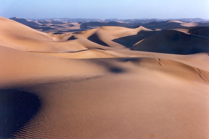 NAMIB DESERT TOURS, Full-Day and Half-Day Tours from Swakopmund, Namibia - What the guide adds to the day