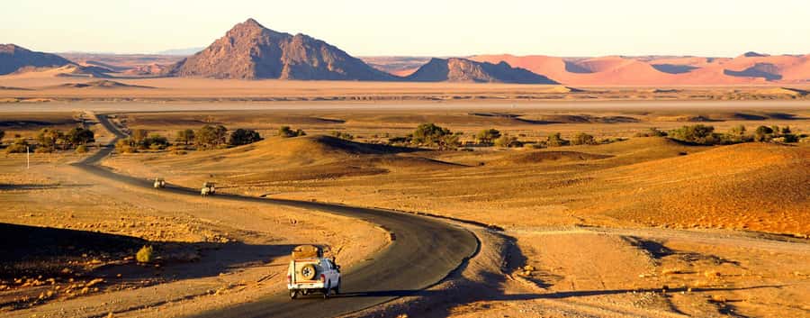 Namibia Self-Driving Audio Guide (in English & German) - Etosha National Park and the wildlife content