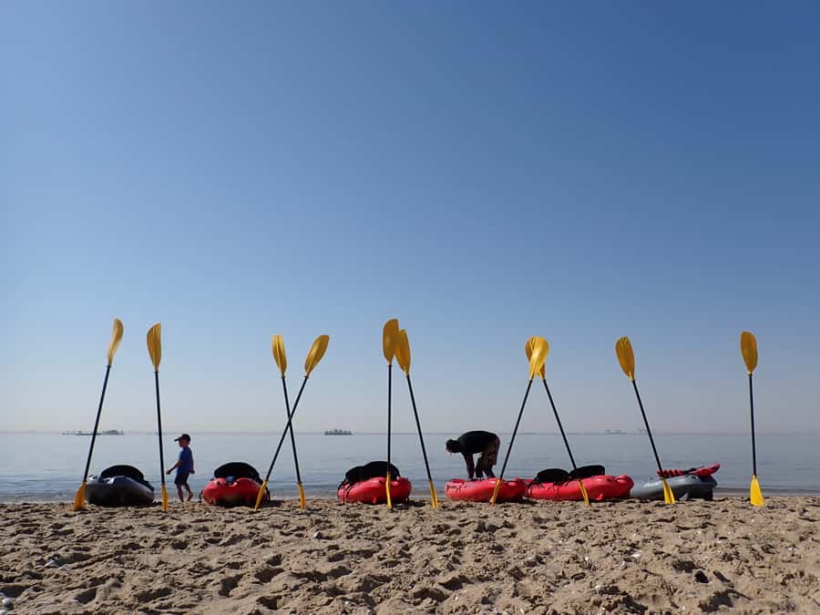 Pelican Point: Kayak with Seals Experience - Starting at Walvis Bay Waterfront