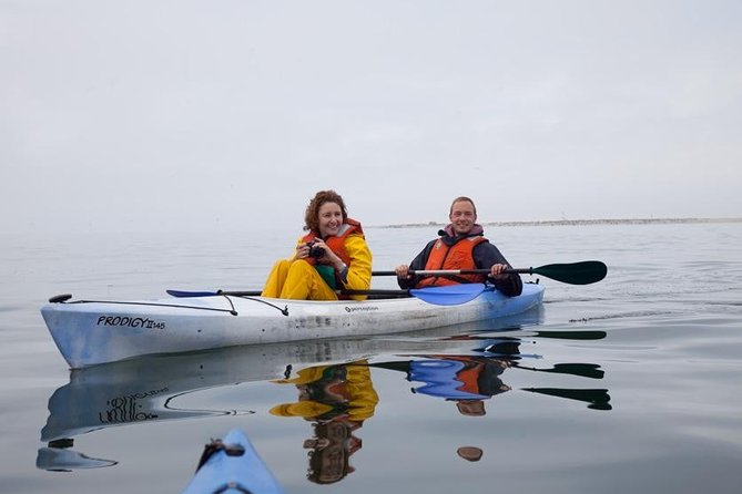 Pelican Point Kayaking Half-Day Tour - Why Pelican Point is worth the trip