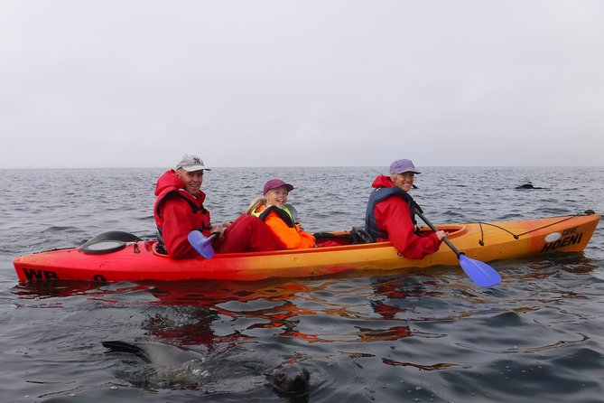 Pelican Point Kayaking Half-Day Tour - How strenuous is the kayaking?