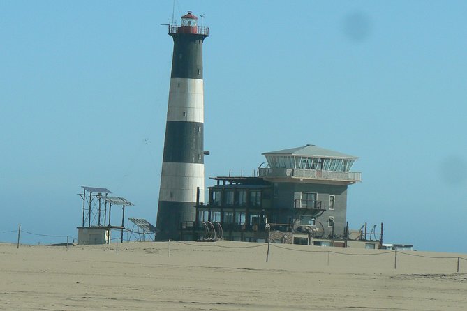 Pelican Point Peninsula Tour- visit the seal colony - Why Pelican Point makes a strong half-day outing
