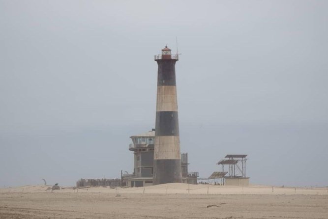 Pelican Point Seal Colony 4x4 Tour - Guides who add value to a short tour