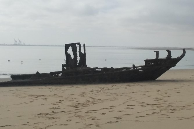 Pelican Point Seal Colony 4x4 Tour - Who should book this Pelican Point outing?