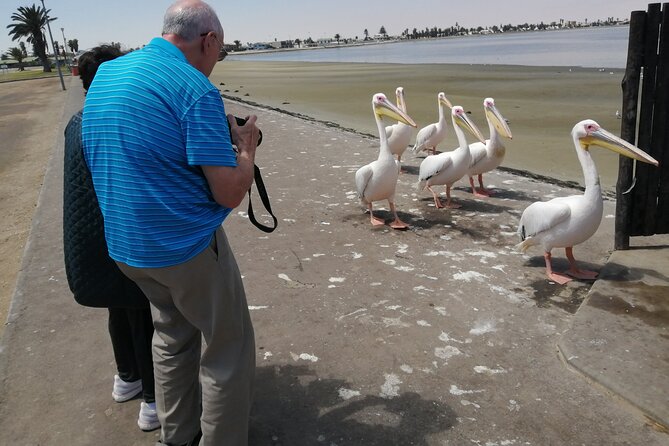 Pelican Point tours,Lagoon tours, Dune7 Adventure - Dune 7 and the reward at the top