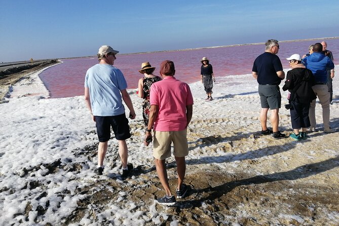 Pelican Point tours,Lagoon tours, Dune7 Adventure - What the second five-hour day adds