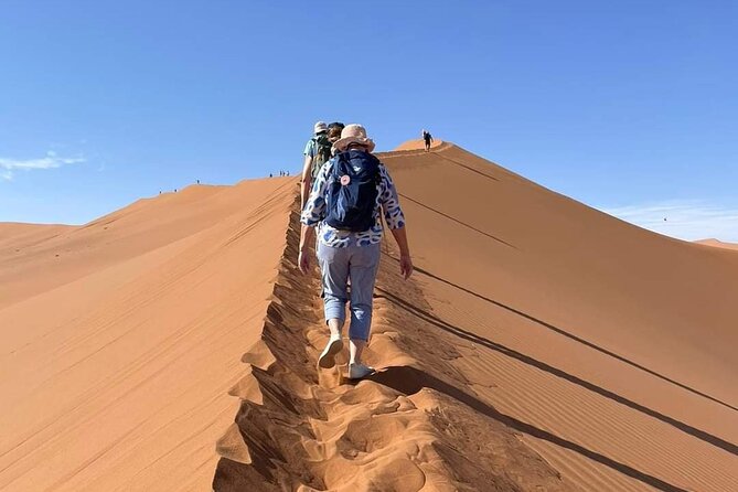 Pelican Point tours,Lagoon tours, Dune7 Adventure - The private format and local guides