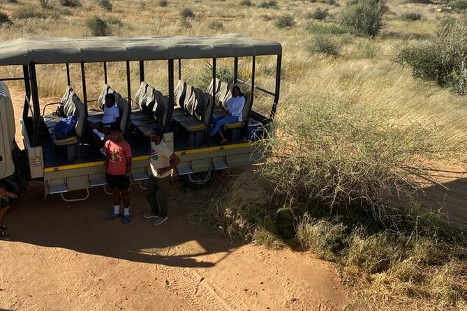 Predator Encounter: Half-Day Carnivore Feeding Windhoek - What this five-hour experience really is