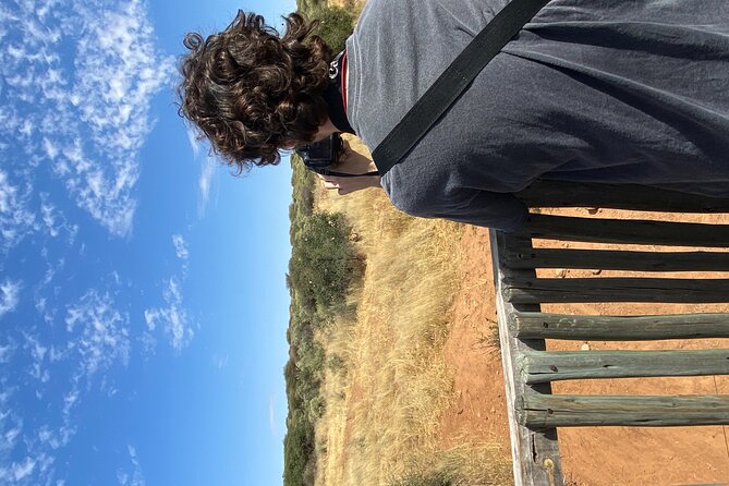 Predator Encounter: Half-Day Carnivore Feeding Windhoek - The scenic drive after the feeding