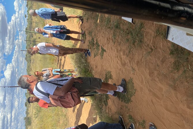 Predator Encounter: Half-Day Carnivore Feeding Windhoek - Who will enjoy this outing most?